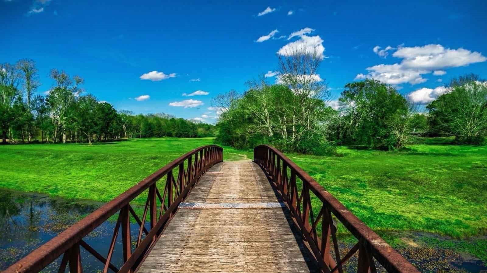 2505 Barton Creek Trail