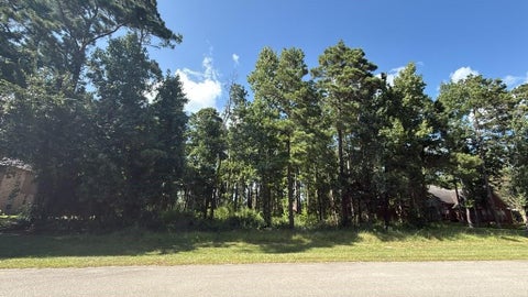 Photo of 12602 Marshall Dr, Magnolia, TX 77354 (MLS # 41060902)