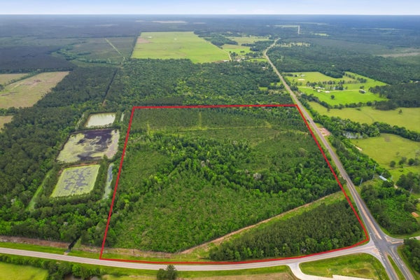 6089 FM 834 E, HULL, TX 77564 - Image 6263daa8aa21b60e595b727d9bb8470e/1789511227