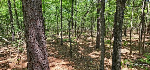 Vacant Land For Sale - TBD Cr 3233 E<br/> Red River County, Clarksville, TX 75426