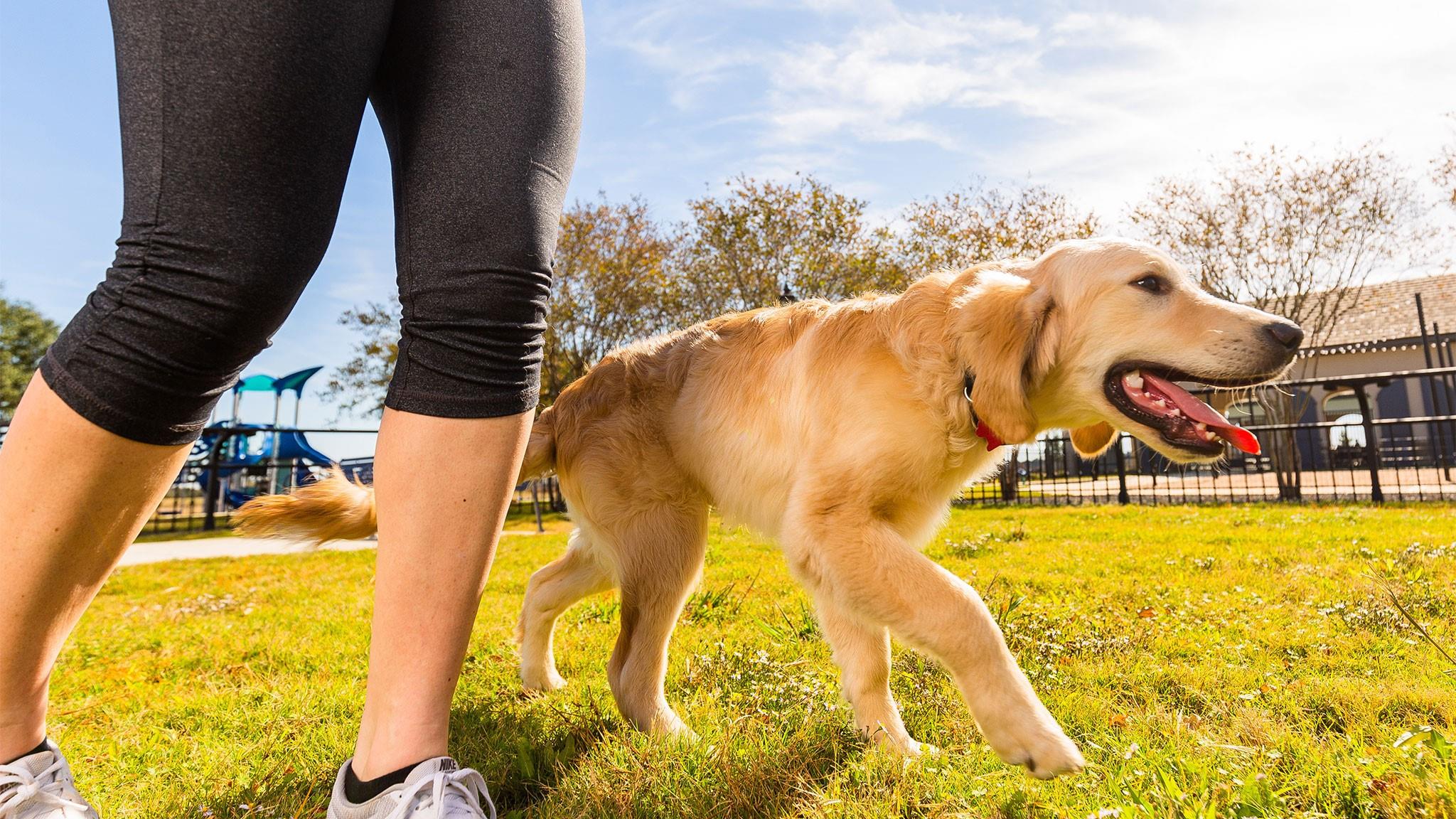 19835 Epona Creek Drive