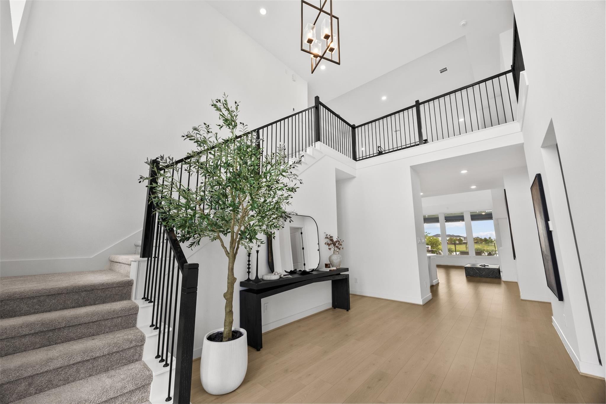 24418 Green Buffalograss Trail