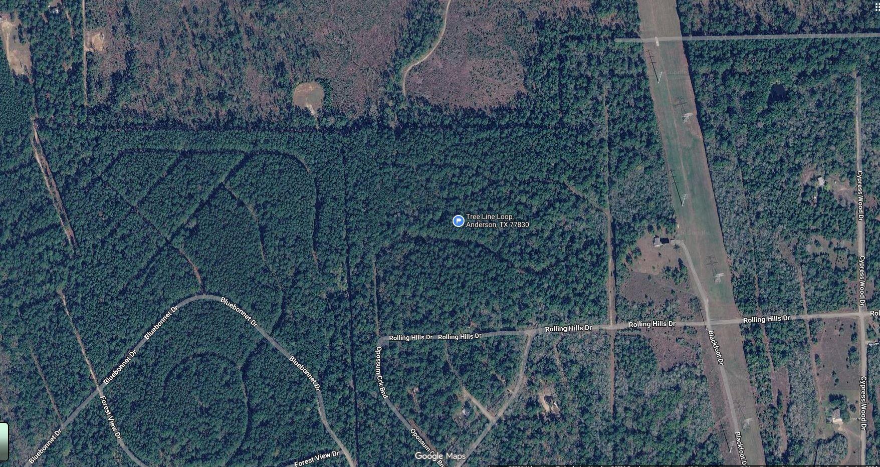 TBD Tree Line Loop