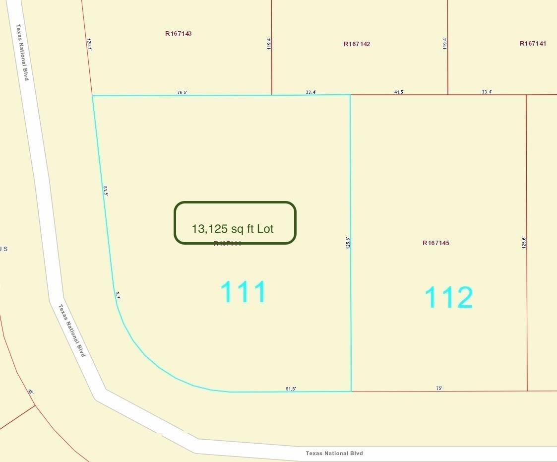 TBD Lot 111 Texas National