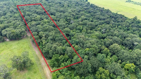 Vacant Land For Sale - TBD Hwy 321, East Side<br/> Liberty County, Dayton, TX 77535