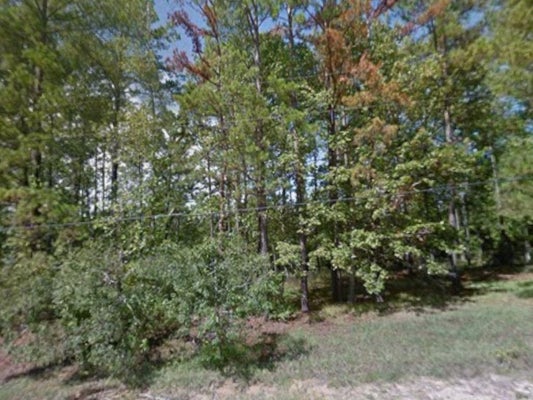 340 OAK TREE DR, POINTBLANK, TX 77364 - Image 62e7ec5d4a74b3ceefbc33da3c9fe312/4203987048