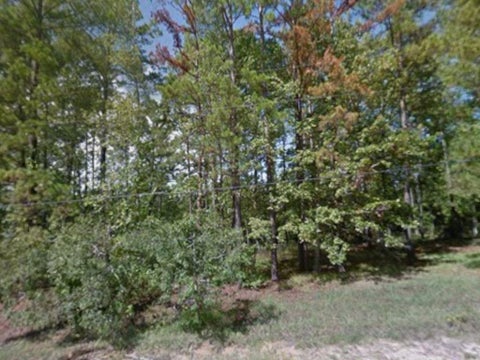 Photo of 340 Oak Tree Drive, Point Blank, TX 77364 (MLS # 84933841)