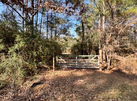 Vacant Land For Sale - 24728 Shady Oaks Blvd Blvd<br/> Montgomery, TX 77316