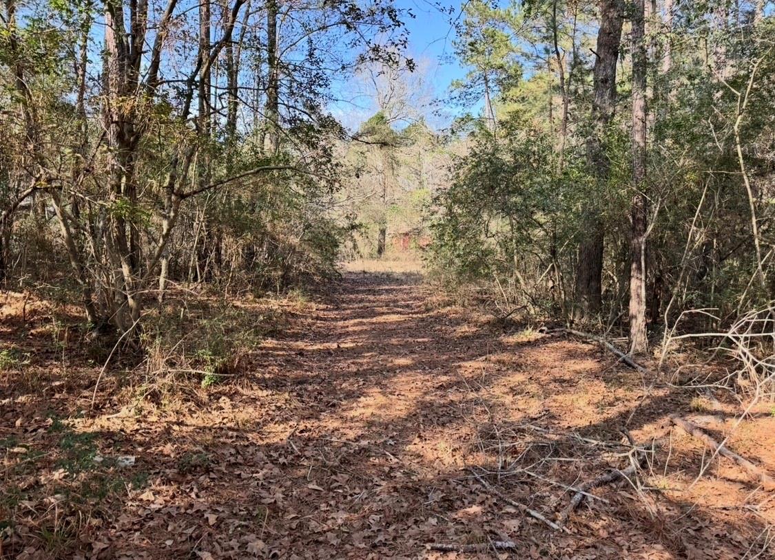 24728 Shady Oaks Blvd