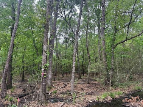 Vacant Land For Sale - 15800 Largent Drive<br/> Plantersville, TX 77363