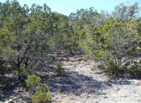 Vacant Land For Sale - 1650 Conestoga<br/> Spring Branch, TX 78070