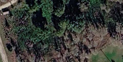 Photo of 0 County Road 436, Somerville, TX 77879 (MLS # 24562025)