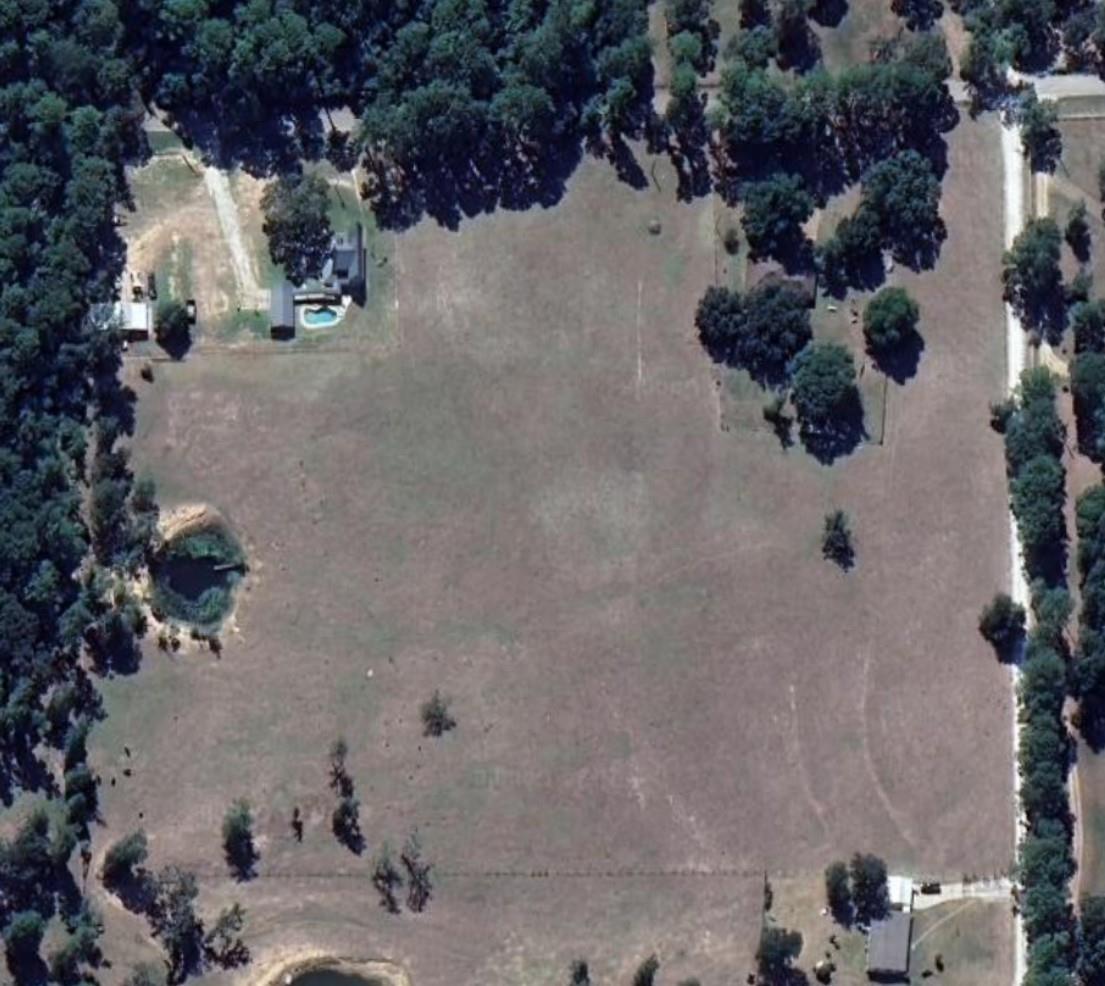 TBD Forest Trace Road