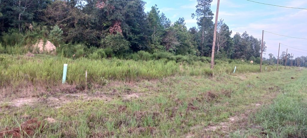 Photo of 4244 Road 5714, Cleveland, TX 77327 (MLS # 65438367)
