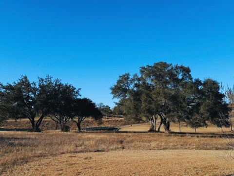 Vacant Land For Sale - 111 Mallard Lane<br/> Columbus, TX 78934