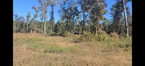 Tract C-3 Gaff Road Magnolia TX 77355