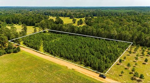 Photo of 0 Nursery Road, Livingston, TX 77351 (MLS # 59274394)