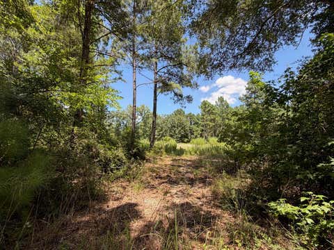 Photo of TBD Pr 1284, Centerville, TX 75833 (MLS # 50045976)