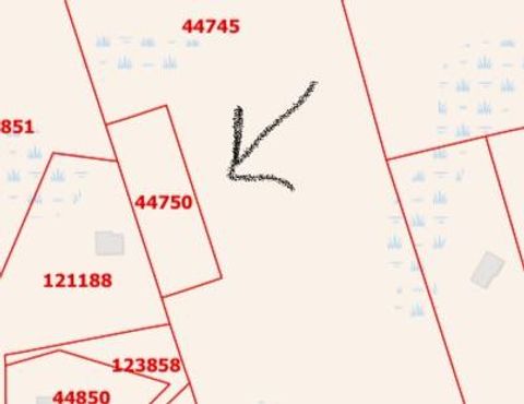 Vacant Land For Sale - FM 223 Fm<br/> Shepherd, TX 77371