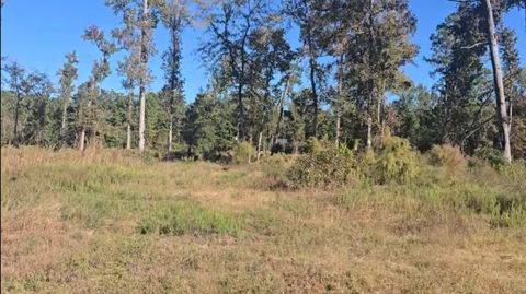 Photo of 4 Gaff Road, Magnolia, TX 77355 (MLS # 44541688)