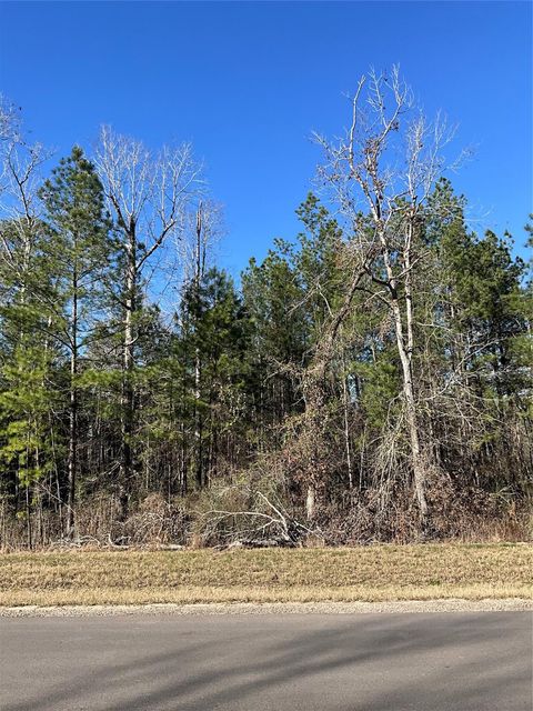 Photo of 175 Exploration Road, Willis, TX 77378 (MLS # 83407431)