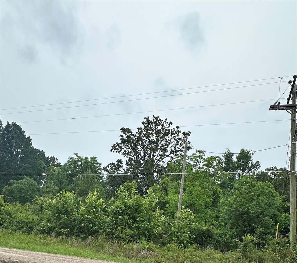 Photo of 995 Big Hawg DR, Trinity, TX 75862 (MLS # 97897163)