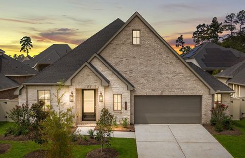 Tiny photo for 15265 Tree Swallow Court, Magnolia, TX 77354 (MLS # 25891548)