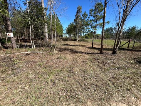 Photo of 3738 County Road 2650, Cleveland, TX 77327 (MLS # 28972749)