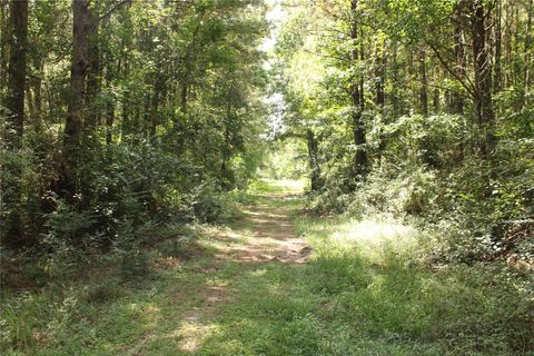 Photo of TBD 10th Street, Shepherd, TX 77371 (MLS # 51585152)