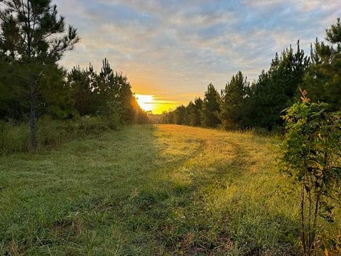 Photo of 0 Midway Loop, Livingston, TX 77351 (MLS # 97243792)