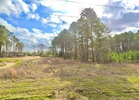 Vacant Land For Sale - 3018 County Road 5018<br/> Cleveland, TX 77327