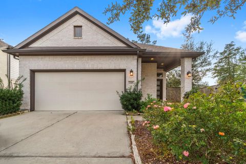 248 Crest Edge Street Montgomery TX 77316