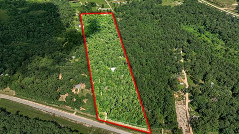 Photo of 16852 Old Houston Road, Conroe, TX 77302 (MLS # 47065742)