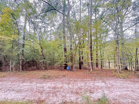 TBD Offshore Lane Onalaska TX 77360