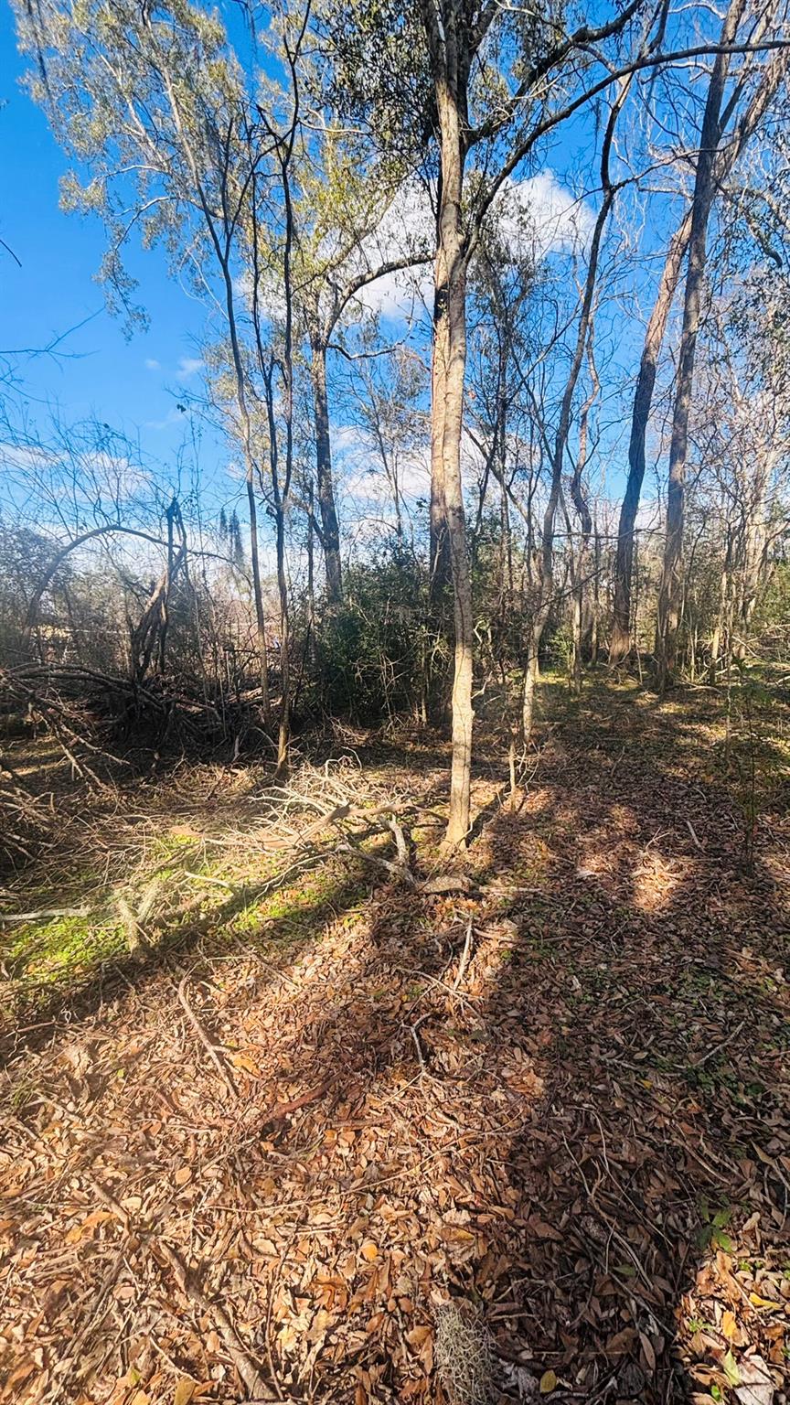 LOT 638 Marshall Avenue