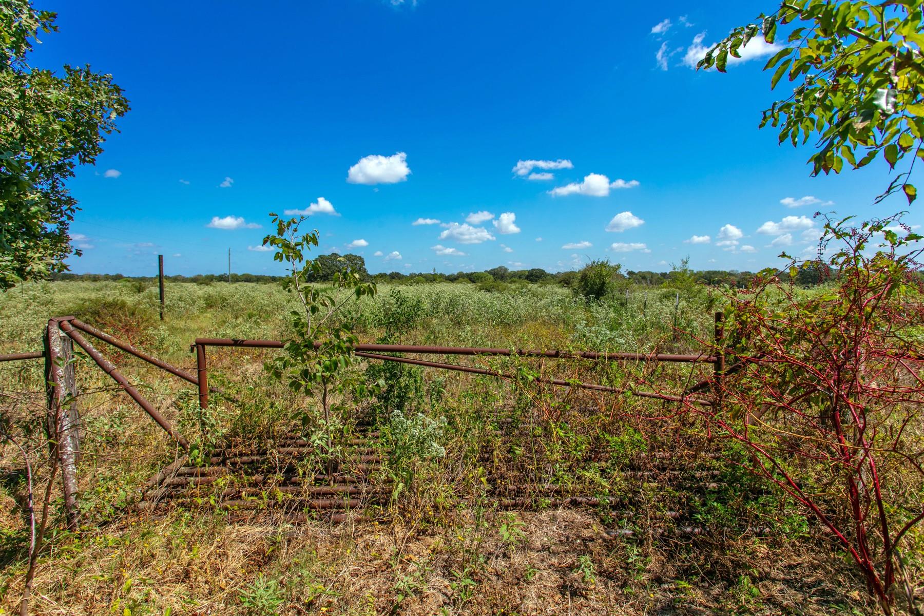 TBD Pr 4550