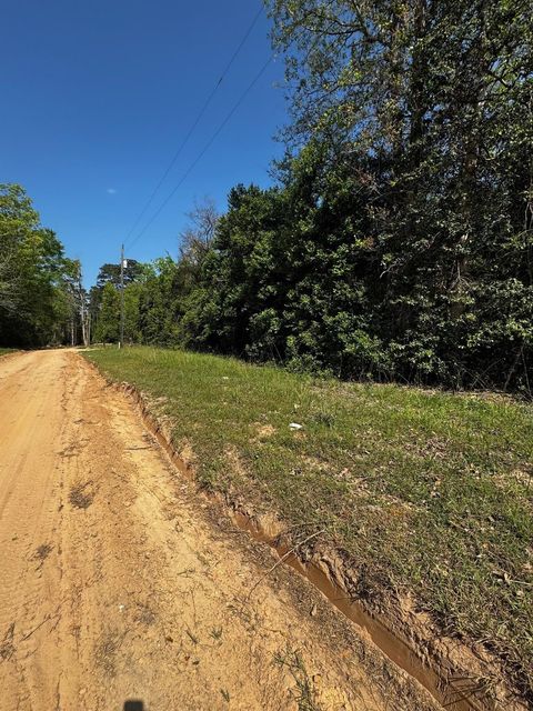 TBD Lannie Boulevard Livingston TX 77351