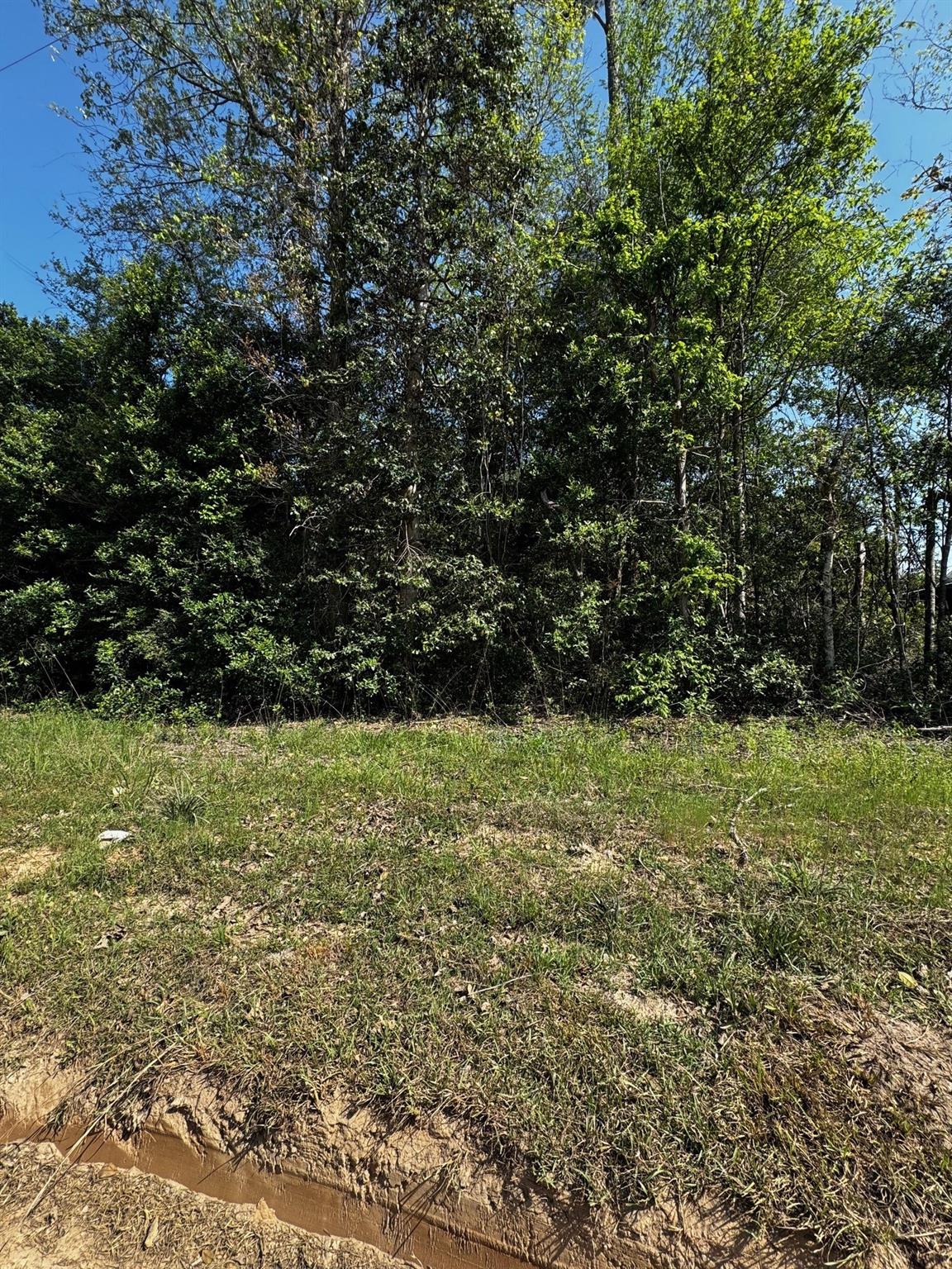 TBD Lannie Boulevard