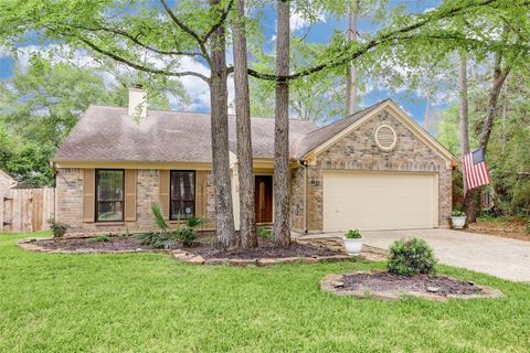Photo of 60 W Indian Sage Circle, The Woodlands, TX 77381 (MLS # 46672268)
