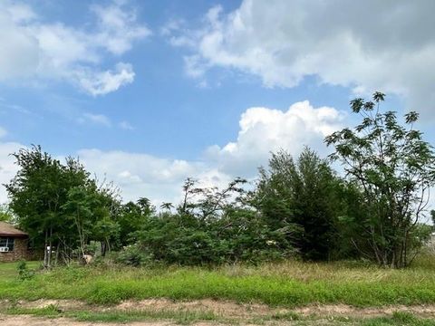 Photo of 150 Saint Barbe Street, Hempstead, TX 77445 (MLS # 41906965)