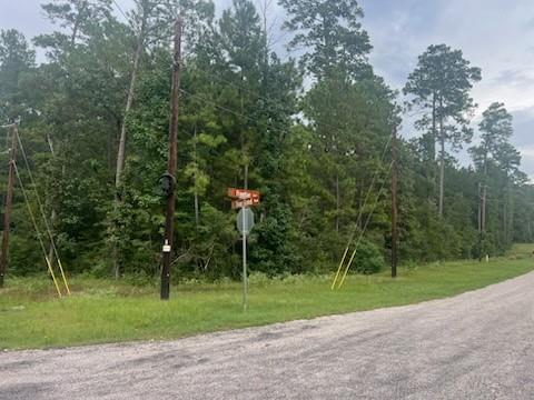 Photo of 0 Texas Grand Road, Huntsville, TX 77340 (MLS # 34209729)
