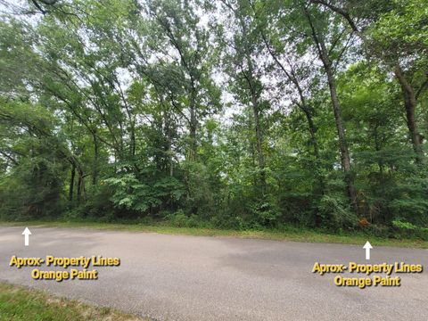 Photo of 315 Callie Drive, Hempstead, TX 77445 (MLS # 87199319)