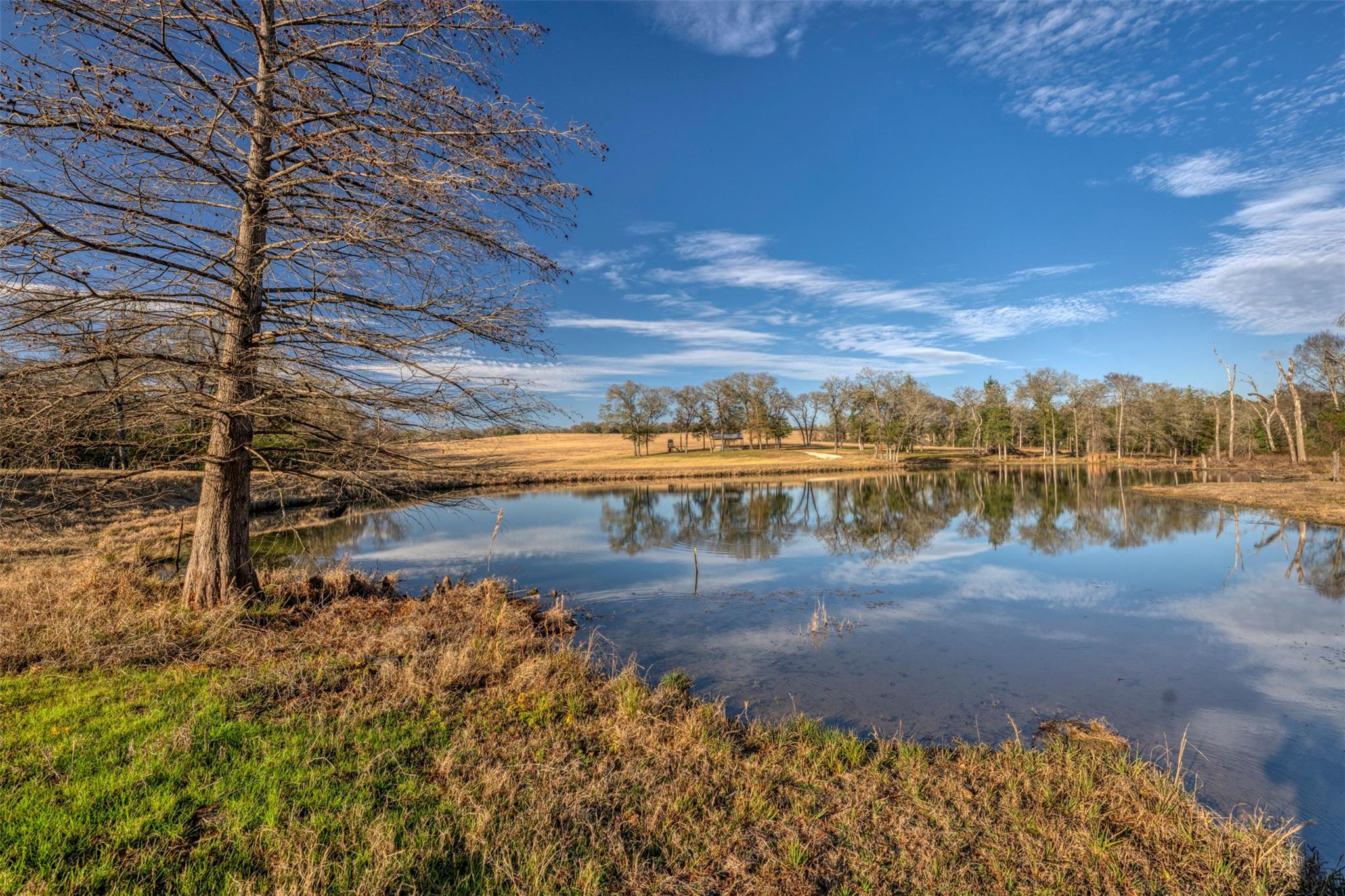 6785 Jones Orchard Road