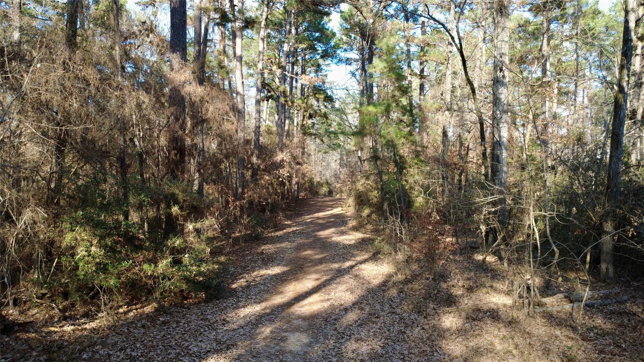 1497 County Road 1170