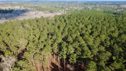 Vacant Land For Sale - 1497 County Road 1170<br/> Houston County, Kennard, TX 75847