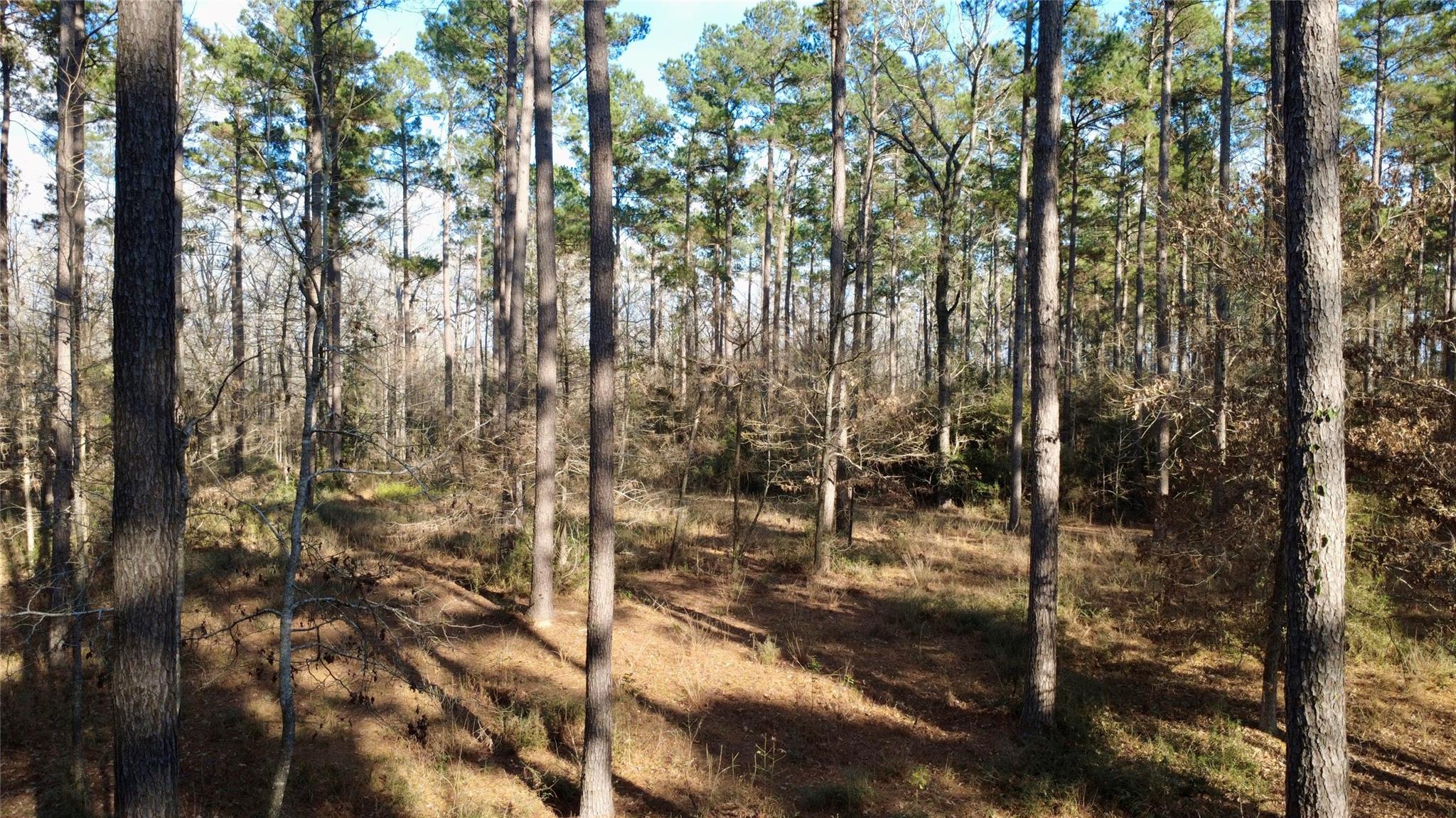 1497 County Road 1170