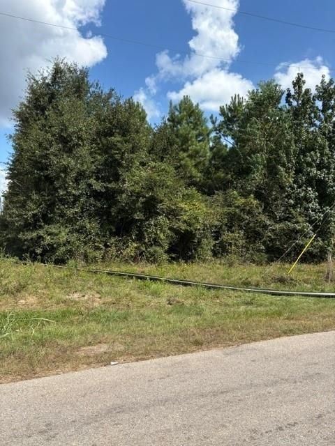 Photo of 0 Tbd Fm 1486, Montgomery, TX 77316 (MLS # 15062350)
