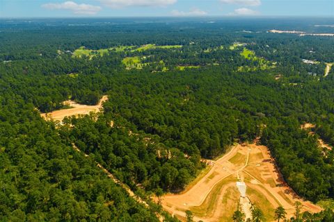 Photo of 4111 Augusta Drive, Montgomery, TX 77316 (MLS # 98902770)