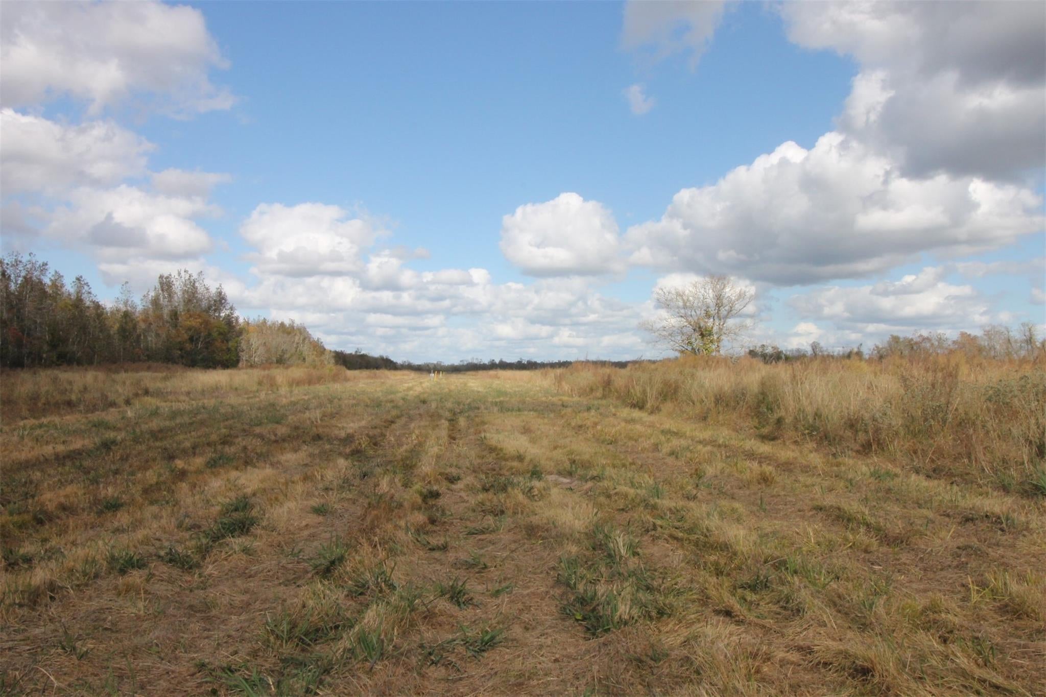43 County Road 2355