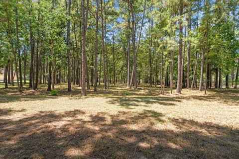 Tiny photo for 28712 Beth Marie, Magnolia, TX 77355 (MLS # 75911088)